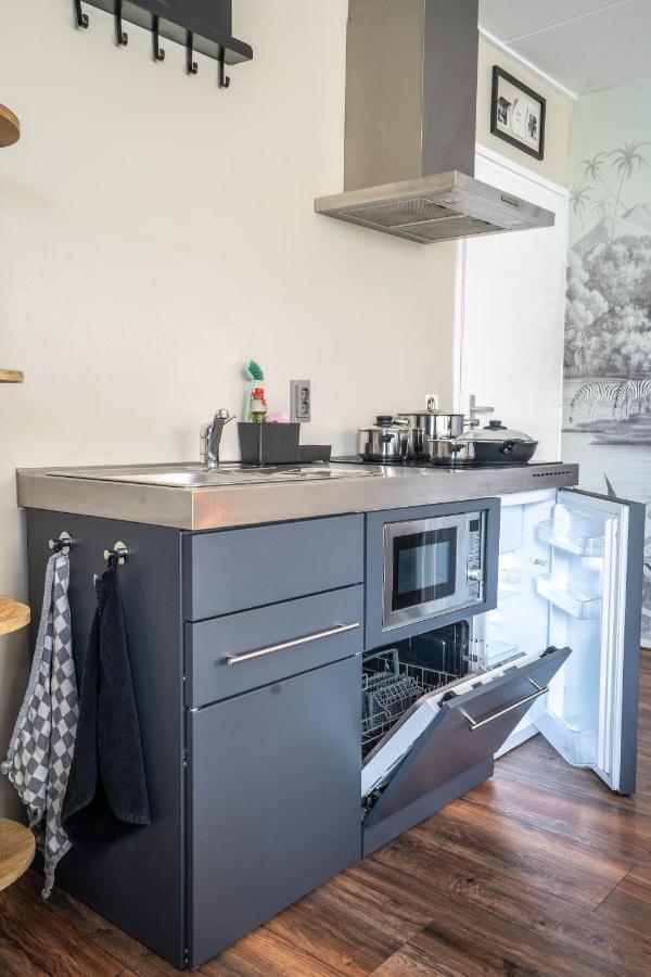 The Lion King - 6 Person Linked Apartment With Roof Terrace Groningen Exterior foto